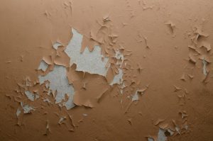 Vind Lekdetectie Moorman voor een zorgeloos thuis